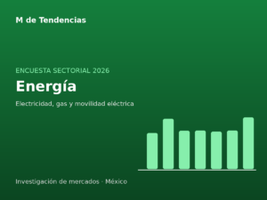Encuesta de Energía 2026